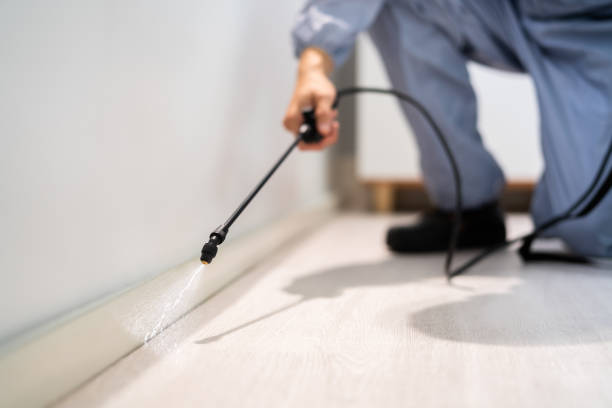 Licensed Pest Control service in Calvert, TX - Show Me Pest Control