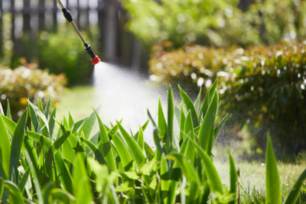 Tamper-Resistant Bait Stations for Rodents in Calvert