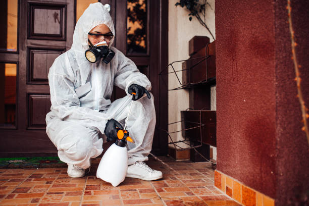 Attic and Crawl Space Rodent Treatment in Calvert