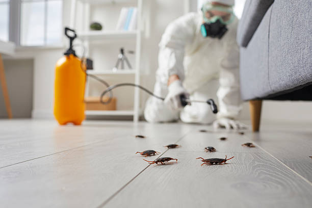 Commercial Rodent Management in Calvert